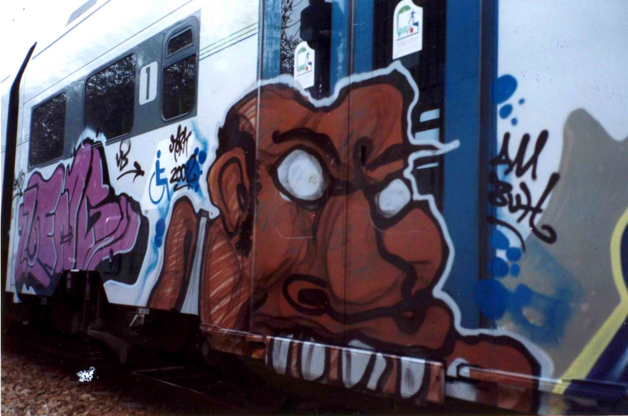 ZIBBI: TAF